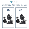 Détails résine 8K Noire Forshape Premium - 1Kg