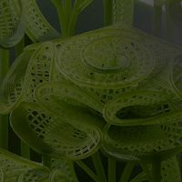 Anycubic Photon P1 laagprecisie