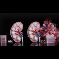 Économie de purge Bambu Lab H2C